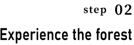 Step02-Experience the forest ― Give your five senses wobble and put your brain in a neutral state.