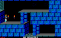 PrinceofPersia CPC Level1Start.png