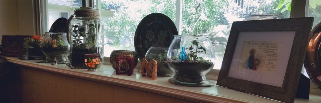 Terrariums on window ledge