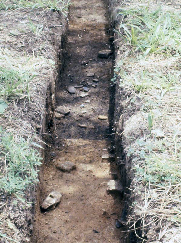 photo of palisade wall trench filled with dark midden refuse