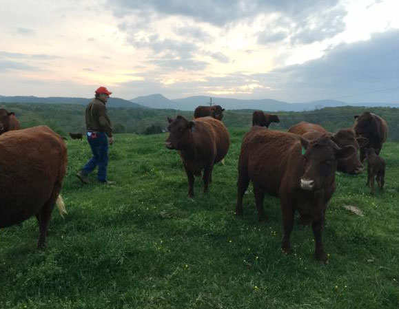 Son-in-law Curt has been instrumental in keeping the farm going.