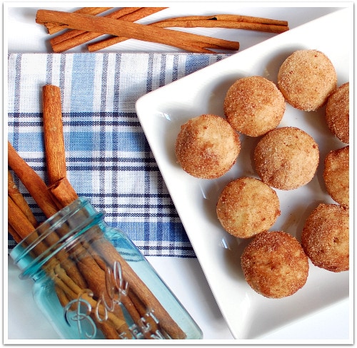 Cinnamon and Sugar Doughnut Muffins