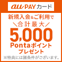 【数量限定★超還元中】au PAY カード