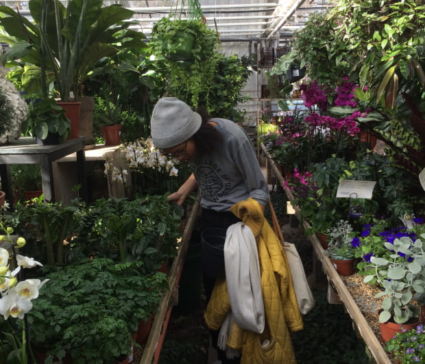 Een foto van een vrouw die planten uitzoekt in een kas.