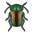 ON-icon-style material-Polished Scarab Elytra.png