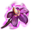 ON-icon-reagent-Nightshade.png