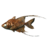 SR-icon-food-Cooked Glassfish.png