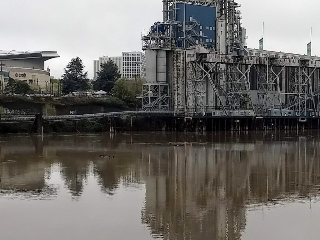 Muddy Willamette River