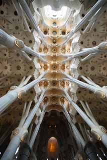 ÇáÕæÑÉ,ÇáãÇÏÉ,ÍÑÑ,ãäÙÑ ááØÈíÚÉ,Ìãíá,ÕæÑ,Sagrada Familia, , , , 