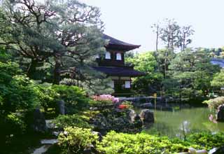 ÇáÕæÑÉ,ÇáãÇÏÉ,ÍÑÑ,ãäÙÑ ááØÈíÚÉ,Ìãíá,ÕæÑ,Ginkakuji ( ÌäÇÍ ÝÖí  ), Ginkakuji., ÇáÈÑßÉ., ÇáÍÏíÞÉ.  , ÇáÔÌÑÉ.  