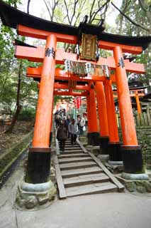 ÇáÕæÑÉ,ÇáãÇÏÉ,ÍÑÑ,ãäÙÑ ááØÈíÚÉ,Ìãíá,ÕæÑ,torii ãÒÇÑ Taisha Fushimi-Inari., ÓäÉ ÌÏíÏÉ ÒÇÑ Åáì ãÒÇÑ ÔäÊæ, torii., Inari., ÇáËÚáÈ.