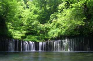 Foto, materiell, befreit, Landschaft, Bild, hat Foto auf Lager,Shiraito-kein-taki, Wasserfall, Strom, zartes Grün, Fluss