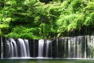 Foto, materiell, befreit, Landschaft, Bild, hat Foto auf Lager,Shiraito-kein-taki, Wasserfall, Strom, zartes Grün, Fluss