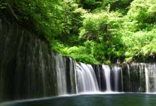 Foto, materiell, befreit, Landschaft, Bild, hat Foto auf Lager,Shiraito-kein-taki, Wasserfall, Strom, zartes Grün, Fluss