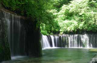 Foto, materiell, befreit, Landschaft, Bild, hat Foto auf Lager,Shiraito-kein-taki, Wasserfall, Strom, zartes Grün, Fluss