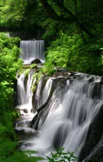 Foto, materiell, befreit, Landschaft, Bild, hat Foto auf Lager,Spray von Wasser und neuem Grün, Wasserfall, Strom, zartes Grün, Fluss