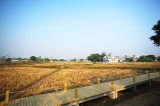 Foto, materiell, befreit, Landschaft, Bild, hat Foto auf Lager,Zi Li Cun, Reisfeld, bebauen Sie Dorf, hohes Gebäude, 