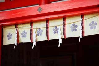 Foto, materiell, befreit, Landschaft, Bild, hat Foto auf Lager,Ein EgaraTenjin-shaShrine Hauptschrein, Schintoistischer Schrein, Pflaume, Kamakura, Ärgern Sie Tenjin