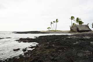 Foto, materiell, befreit, Landschaft, Bild, hat Foto auf Lager,Mauna Lani, Lava, Handfläche, Welle, Machtstelle