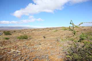 Foto, materiell, befreit, Landschaft, Bild, hat Foto auf Lager,Die Erde der Lava, Grün, Braun, Lava, blauer Himmel