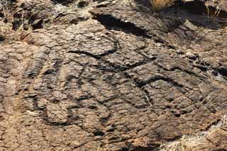 Foto, materiell, befreit, Landschaft, Bild, hat Foto auf Lager,Puako Petroglyph, Lava, Schließen Sie Kunst ab, Petroglyph, kaha-kii