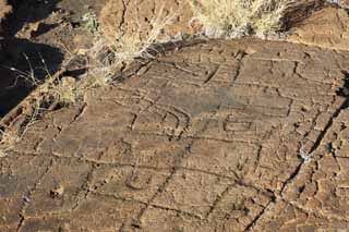 Foto, materiell, befreit, Landschaft, Bild, hat Foto auf Lager,Puako Petroglyph, Lava, Schließen Sie Kunst ab, Petroglyph, kaha-kii