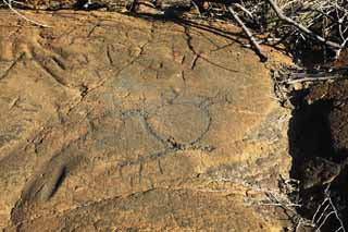 Foto, materiell, befreit, Landschaft, Bild, hat Foto auf Lager,Puako Petroglyph, Lava, Schließen Sie Kunst ab, Petroglyph, kaha-kii