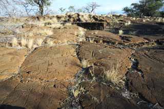 Foto, materiell, befreit, Landschaft, Bild, hat Foto auf Lager,Puako Petroglyph, Lava, Schließen Sie Kunst ab, Petroglyph, kaha-kii