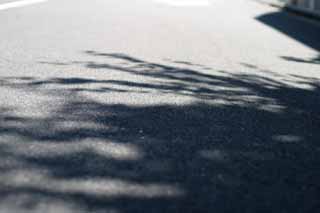 Foto, materiell, befreit, Landschaft, Bild, hat Foto auf Lager,Bequemlichkeit im Schatten, Asphalt, Schatten, , grüner Schatten