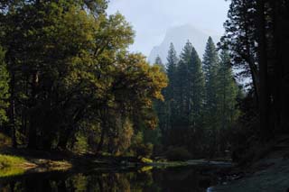 Foto, materiell, befreit, Landschaft, Bild, hat Foto auf Lager,Die stille Umgebung des Flusses des Morgens, Fluss, Stein, Wald, Die Oberfläche des Wassers