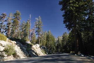 Foto, materiell, befreit, Landschaft, Bild, hat Foto auf Lager,Straße in trockenen Wald, Baum, blauer Himmel, Wald, Asphalt