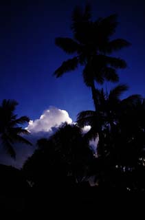 Foto, materiell, befreit, Landschaft, Bild, hat Foto auf Lager,Wolke und Lasi, die leuchten können, Kokosnussbaum, Wolke, Lasi, blauer Himmel