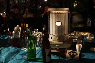 Foto, materiell, befreit, Landschaft, Bild, hat Foto auf Lager,Nach einer Party, Flower, die ansieht, Das Gehen, bei Nachtbesichtigung Kirschenblüten zu sehen, Alkohol, Teppich