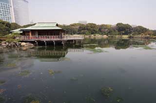 Foto, materiell, befreit, Landschaft, Bild, hat Foto auf Lager,Eine sich ausruhende Hütte von Nakashima, Teich, Gebäude, Ich bin Japanisch-Stil, Dach