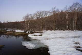 Foto, materiell, befreit, Landschaft, Bild, hat Foto auf Lager,Eine klamme Ebene eines Tauwetters, Sumpf, Die Oberfläche des Wassers, Berg, Baum