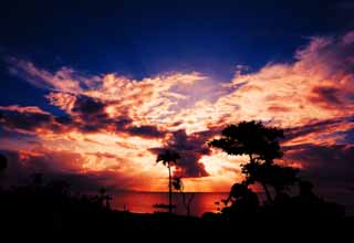 Foto, materiell, befreit, Landschaft, Bild, hat Foto auf Lager,Die südliche Landsilhouette, die brennt, Handflächenbaum, Die Rahmensonne, Wolke, Das Meer