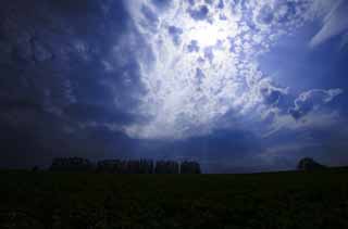 Foto, materiell, befreit, Landschaft, Bild, hat Foto auf Lager,Licht, um zu strömen, Wolke, leichte Linie, Stimme des Himmels, Reihe von Bäumen