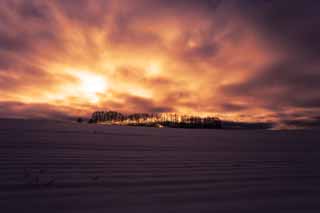 Foto, materiell, befreit, Landschaft, Bild, hat Foto auf Lager,Dämmerung eines schneebedeckten Feldes, schneebedecktes Feld, Wolke, Baum, Die Sonne