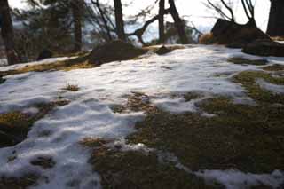 Foto, materiell, befreit, Landschaft, Bild, hat Foto auf Lager,Schnee wird aufwärts beladen, Baum, Hügel, See Onuma, Moos