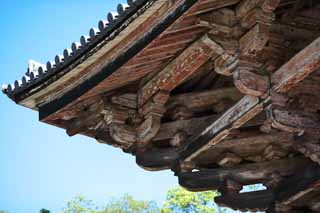 Foto, materiell, befreit, Landschaft, Bild, hat Foto auf Lager,Ich überquere den Baum von Nandaimon Higashiooji, Das Tor, hölzernes Gebäude, Buddhismus, Tempel