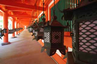 Foto, materiell, befreit, Landschaft, Bild, hat Foto auf Lager,Kasuga Taisha Shrine Korridor, Schintoismus, Schintoistischer Schrein, Ich werde in roten gemalt, gärtnern Sie Laterne