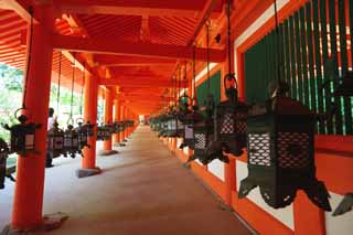 Foto, materiell, befreit, Landschaft, Bild, hat Foto auf Lager,Kasuga Taisha Shrine Korridor, Schintoismus, Schintoistischer Schrein, Ich werde in roten gemalt, gärtnern Sie Laterne