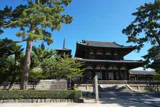 Foto, materiell, befreit, Landschaft, Bild, hat Foto auf Lager,Horyu-ji-Tempel, Buddhismus, gate baute zwischen dem Haupttor und dem Haupthaus der Palast-entworfenen Architektur in der Fujiwara-Periode, Fünf Storeyed-Pagode, Buddhistisches Bild