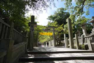 Foto, materiell, befreit, Landschaft, Bild, hat Foto auf Lager,Kompira-san Schrein nähert sich zu einem Schrein, Schintoistischer Schrein Buddhistischer Tempel, torii, steinigen Sie Treppe, Schintoismus