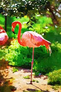 illust, materiell, befreit, Landschaft, Bild, Gemälde, Farbbleistift, Wachsmalstift, Zeichnung,,Ein Flamingo, Flamingo, Ein Bein, Salzen Sie See, Purpurrot