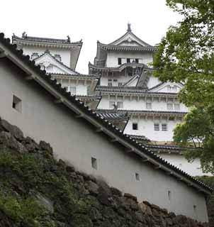 Foto, materiell, befreit, Landschaft, Bild, hat Foto auf Lager,Himeji-jo Burg, Vier nationale Schätze-Burg, Sadanori Akamatsu, Shigetaka Kuroda, Hideyoshi Hashiba