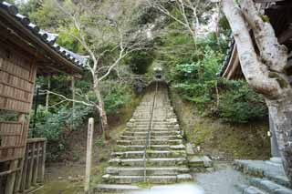 Foto, materiell, befreit, Landschaft, Bild, hat Foto auf Lager,Haus von Buddha und Amitabha steinigt Treppe, Moos, Drängen-Steine, steinigen Sie Treppe, Buddhismus