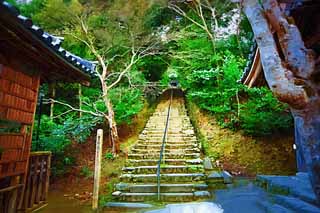 illust, materiell, befreit, Landschaft, Bild, Gemälde, Farbbleistift, Wachsmalstift, Zeichnung,,Haus von Buddha und Amitabha steinigt Treppe, Moos, Drängen-Steine, steinigen Sie Treppe, Buddhismus