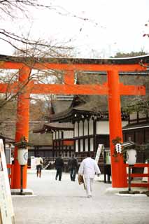 Foto, materiell, befreit, Landschaft, Bild, hat Foto auf Lager,Shimogamo Shrine Gesellschaft torii, Ich werde in roten gemalt, gärtnern Sie Laterne, Gott, Welterbe