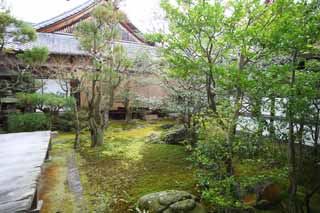 Foto, materiell, befreit, Landschaft, Bild, hat Foto auf Lager,Ninna-ji Temple-Garten, Garten, Moos, Das Haus des alten Aristokraten Kaiserlicher Palast, Die kaiserliche Familie